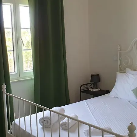 Landsted Black Fig Pollonia