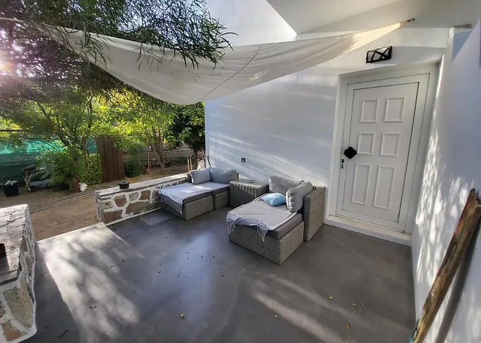 Black Fig * Pollonia