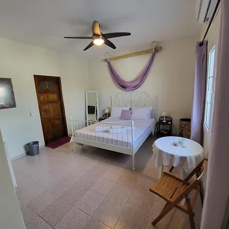 Casa de Campo Black Fig