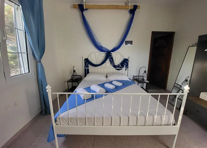 Black Fig Πολλώνια